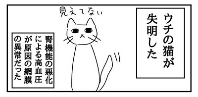 猫 失明 漫画 腎臓