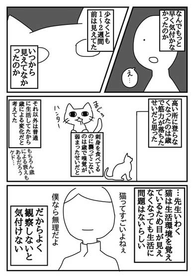 猫 失明 漫画 腎臓