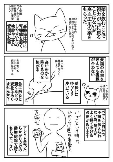 猫 失明 漫画 腎臓