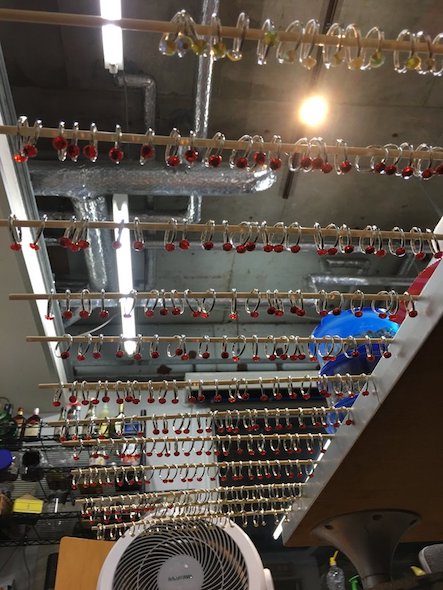 指輪製作風景2枚目