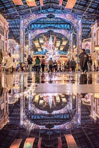 雨のディズニーランドの写真1枚目