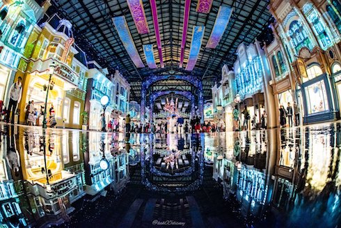 雨のディズニーランドの写真3枚目