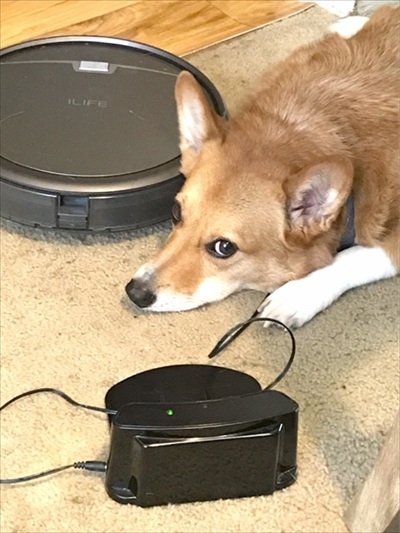 コギとボクのLA Life