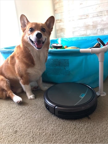 コギとボクのLA Life