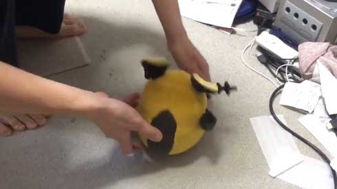 生命 デデンネ 人形 動き