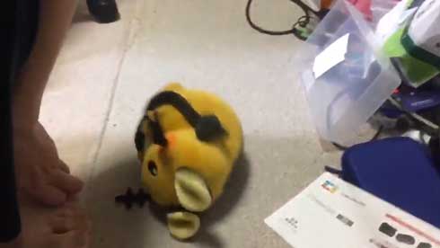 生命 デデンネ 人形 動き