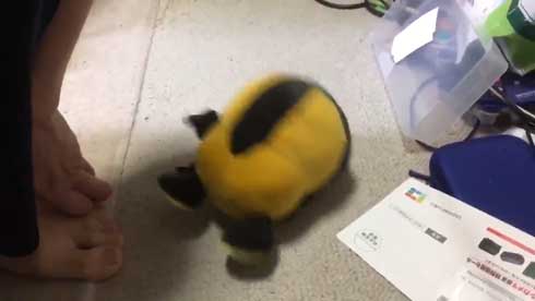 生命 デデンネ 人形 動き