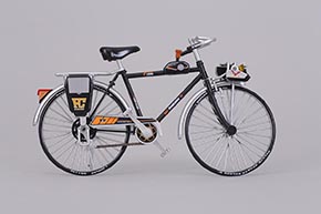 ミニチュアヤングホリデー：右側面