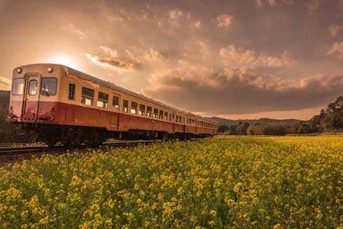 二度と撮れない写真を貼れ Twitter ハッシュタグ