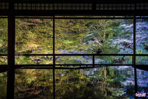 二度と撮れない写真を貼れ Twitter ハッシュタグ