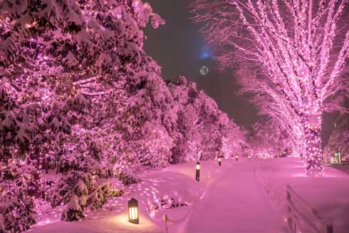 二度と撮れない写真を貼れ Twitter ハッシュタグ