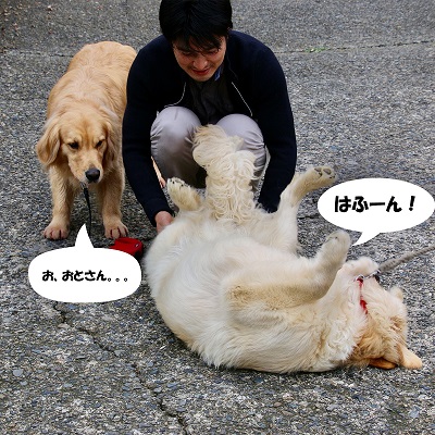 こー君　イチゴ狩り