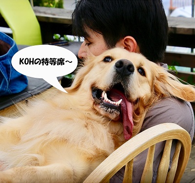 こー君　イチゴ狩り