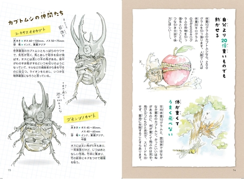 ゆるふわ昆虫図鑑 じゅえき太郎のゆるふわ昆虫大百科