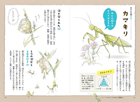ゆるふわ昆虫図鑑 じゅえき太郎のゆるふわ昆虫大百科