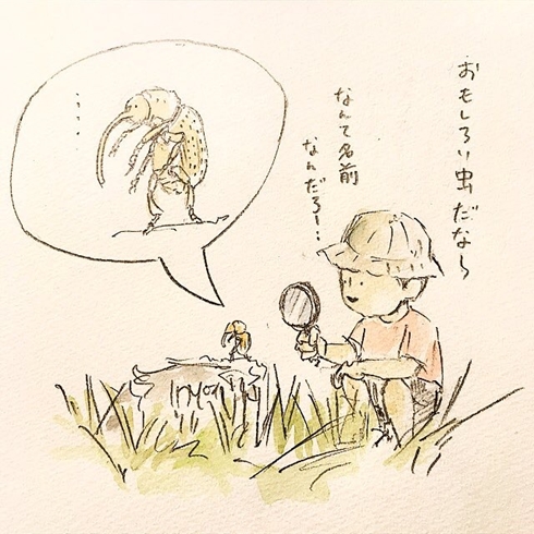 ゆるふわ昆虫図鑑 じゅえき太郎のゆるふわ昆虫大百科