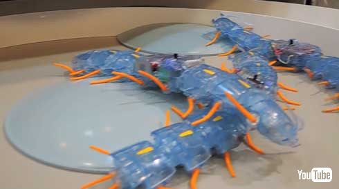 タミヤ ムカデ ロボット 工作セット