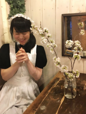 シャッツキステ