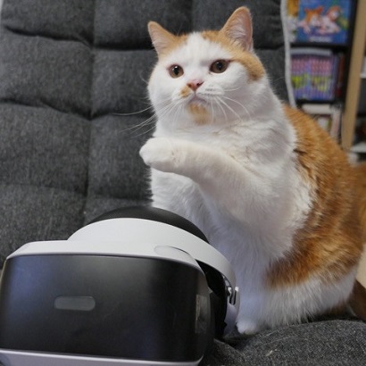 マンチカンズと仲間たち