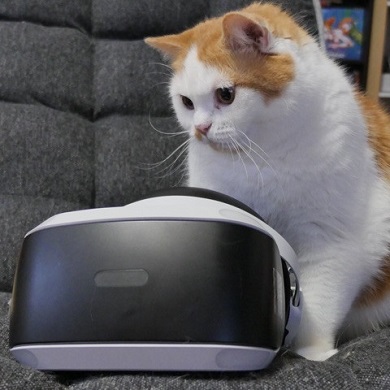 マンチカンズと仲間たち