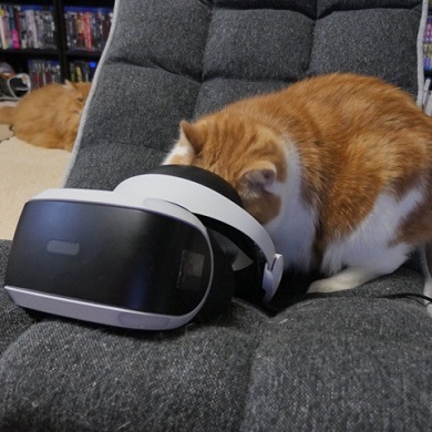 マンチカンズと仲間たち