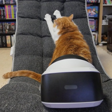 マンチカンズと仲間たち