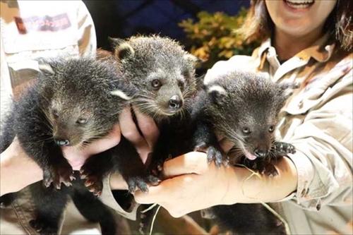 神戸どうぶつ王国