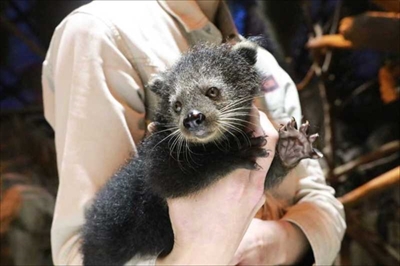 神戸どうぶつ王国