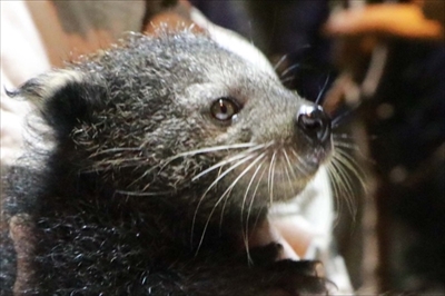 神戸どうぶつ王国