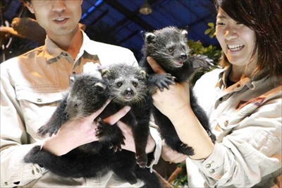 神戸どうぶつ王国