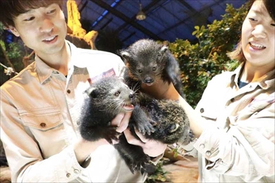 神戸どうぶつ王国