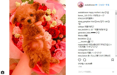 明日花キララ 愛犬 持ち方 批判 Instagram