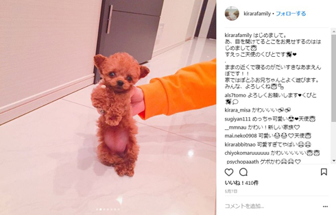 明日花キララ 愛犬 持ち方 批判 Instagram