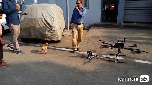 インド やりおるマン 子犬 救出