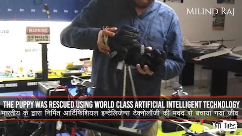 インド やりおるマン 子犬 救出