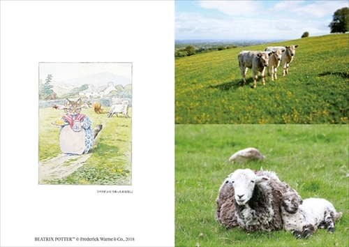 ピーターラビットの仲間たち 写真集