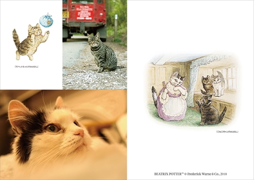 ピーターラビットの仲間たち 写真集