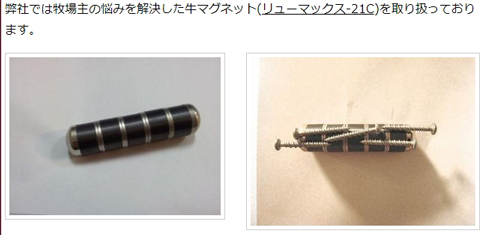 牛が飲み込む「カウマグネット」「カウマグ」