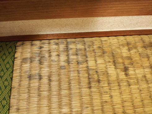 自宅のカビ対策