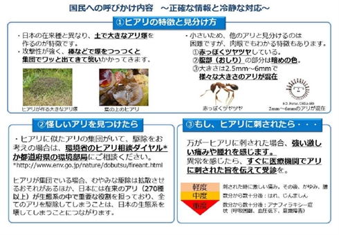 あまり話を聞かなくなったヒアリ、もう大丈夫？　環境省「暖かくなったらまた入ってくる可能性高い」