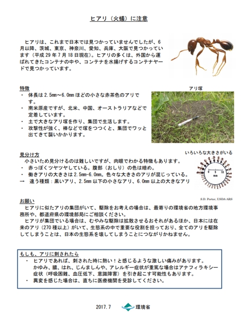 あまり話を聞かなくなったヒアリ、もう大丈夫？　環境省「暖かくなったらまた入ってくる可能性高い」