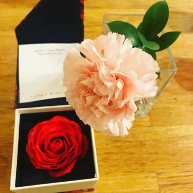 母の日 バラ 入浴剤 恐ろしい 血 ホラー お風呂