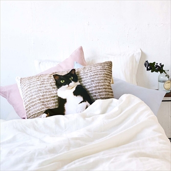 ギズモさんポーチ