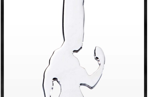 HUNTER×HUNTER ゴンさん ピアス イヤリング プレミアムバンダイ