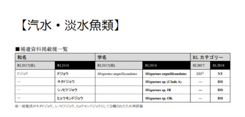 レッドリスト