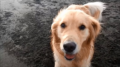 こー君　サーフィン