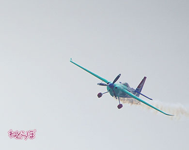 レッドブル Redbull エアレース