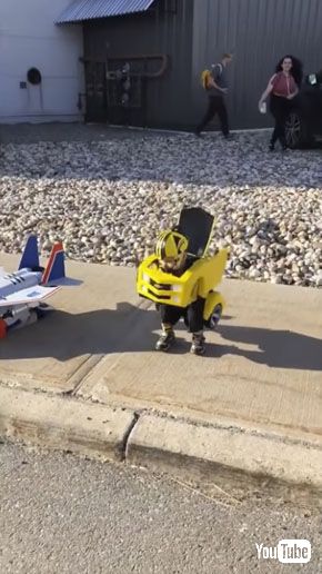 バンブルビー変形