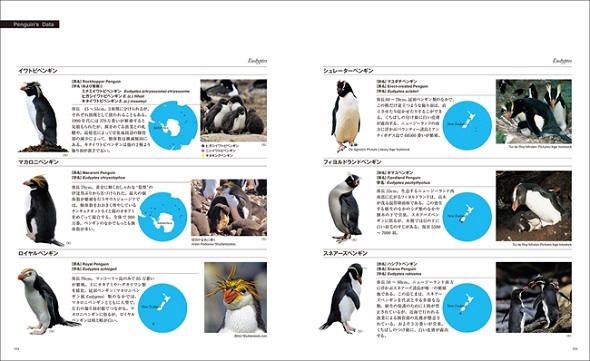 ペンギン図鑑