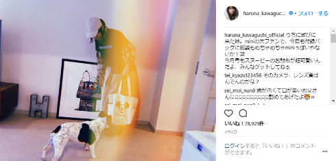 川口春奈 はーちゃん 家族 出身 姉妹 はるる 長崎県